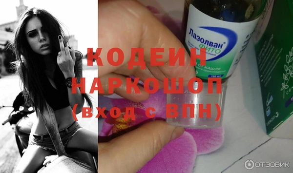 стаф Ростов