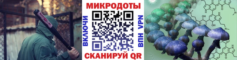 где купить наркоту Яровое Галлюциногенные грибы ЛСД