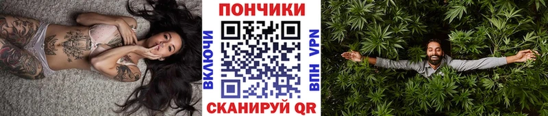 Конопля гибрид  Яровое 